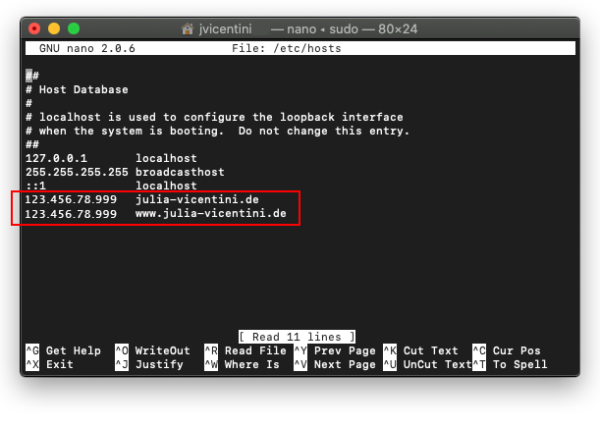 terminal nameserver ip zuweisen