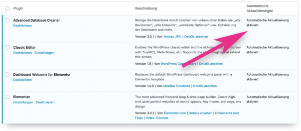 Wordpress 5.5 Auto Update Problem