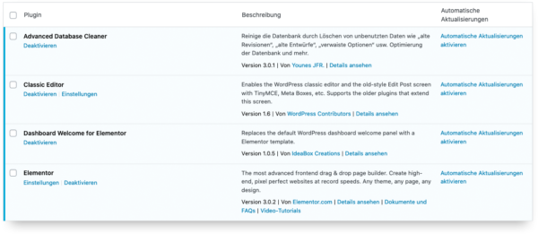 Wordpress 5.5 Auto Update Problem