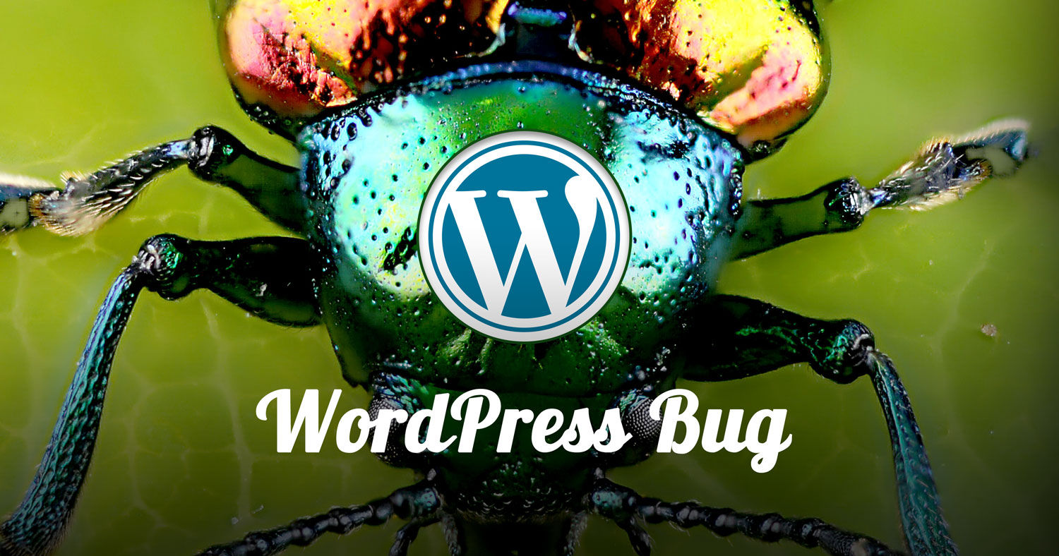 WordPress Problem Bug